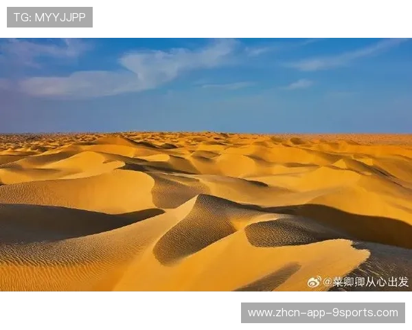 “荒漠流星：沙丘上的极速追逐”，沙漠流沙