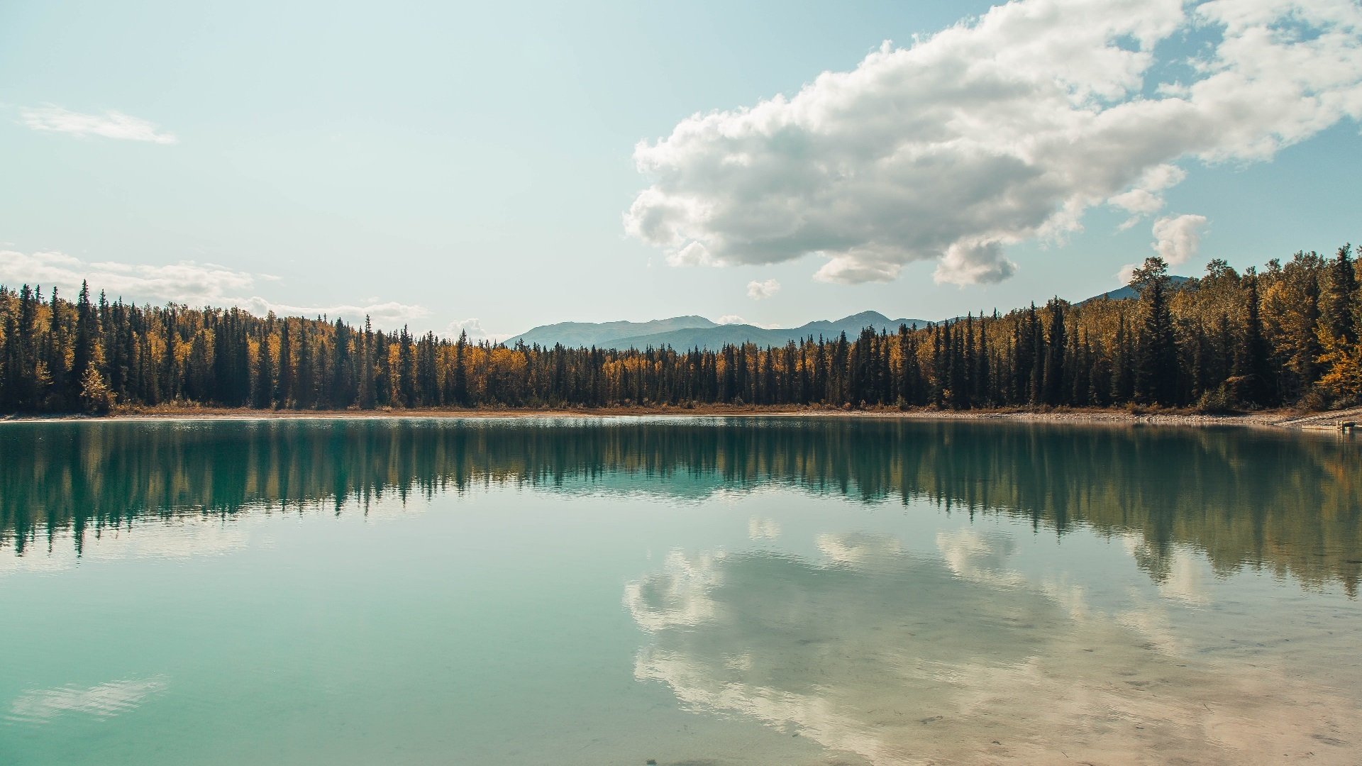 九游游戏中心官网-NBA球员心理健康辅导方案，篮球心理素质训练  第4张