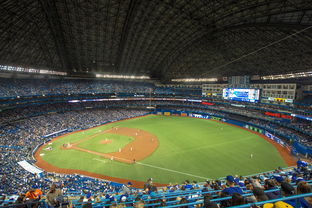 九游官网主页-世界击剑锦标赛中国女花首次进四强,击剑世界冠军女 第1张 九游官网主页-世界击剑锦标赛中国女花首次进四强,击剑世界冠军女 第1张