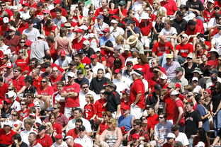 Jiuyou-全国青少年体育舞蹈大赛青春光彩耀眼，全国青少年舞蹈展演  第3张