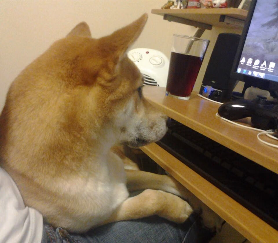 九游网-数字体育内容创作者发展路径与行业标准研究,数字体育项目 第2张 九游网-数字体育内容创作者发展路径与行业标准研究,数字体育项目 第2张