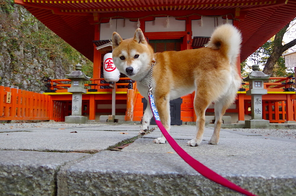 九游游戏中心-法甲球队利用视频分析提升防守协作与站位效率,法甲 球队 第4张 九游游戏中心-法甲球队利用视频分析提升防守协作与站位效率,法甲 球队 第4张