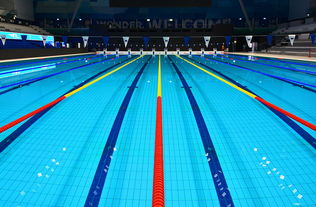 九游下载官网-花样游泳世界杯中国组合获最佳表现奖,花样游泳世界杯冠军 第3张 九游下载官网-花样游泳世界杯中国组合获最佳表现奖,花样游泳世界杯冠军 第3张