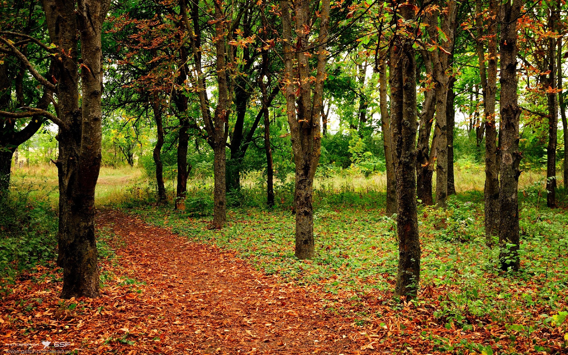 九游登录中心-西甲赛季中球员体能衰减及其恢复干预效果研究，西甲球员场均跑动距离
