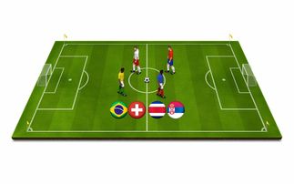 九游娱乐官网 (JIUYOU)-青少年体育运动激励机制与持续参与研究，青少年体育运动计划的制定