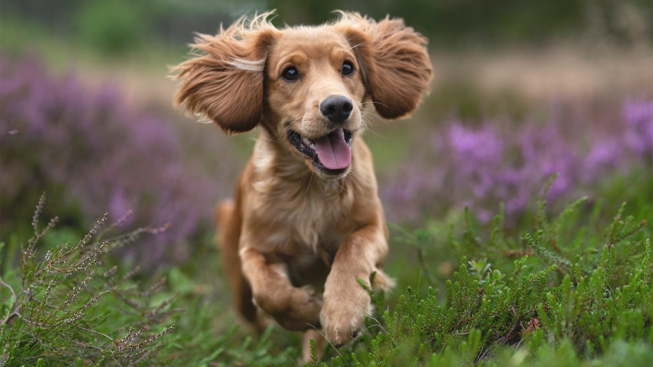 九游娱乐官网 (JIUYOU)-青少年体育运动激励机制与持续参与研究，青少年体育运动计划的制定