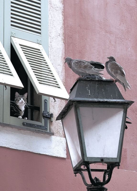 九游app官网下载-中国女篮逆转取胜 展现坚韧精神，看看中国女篮