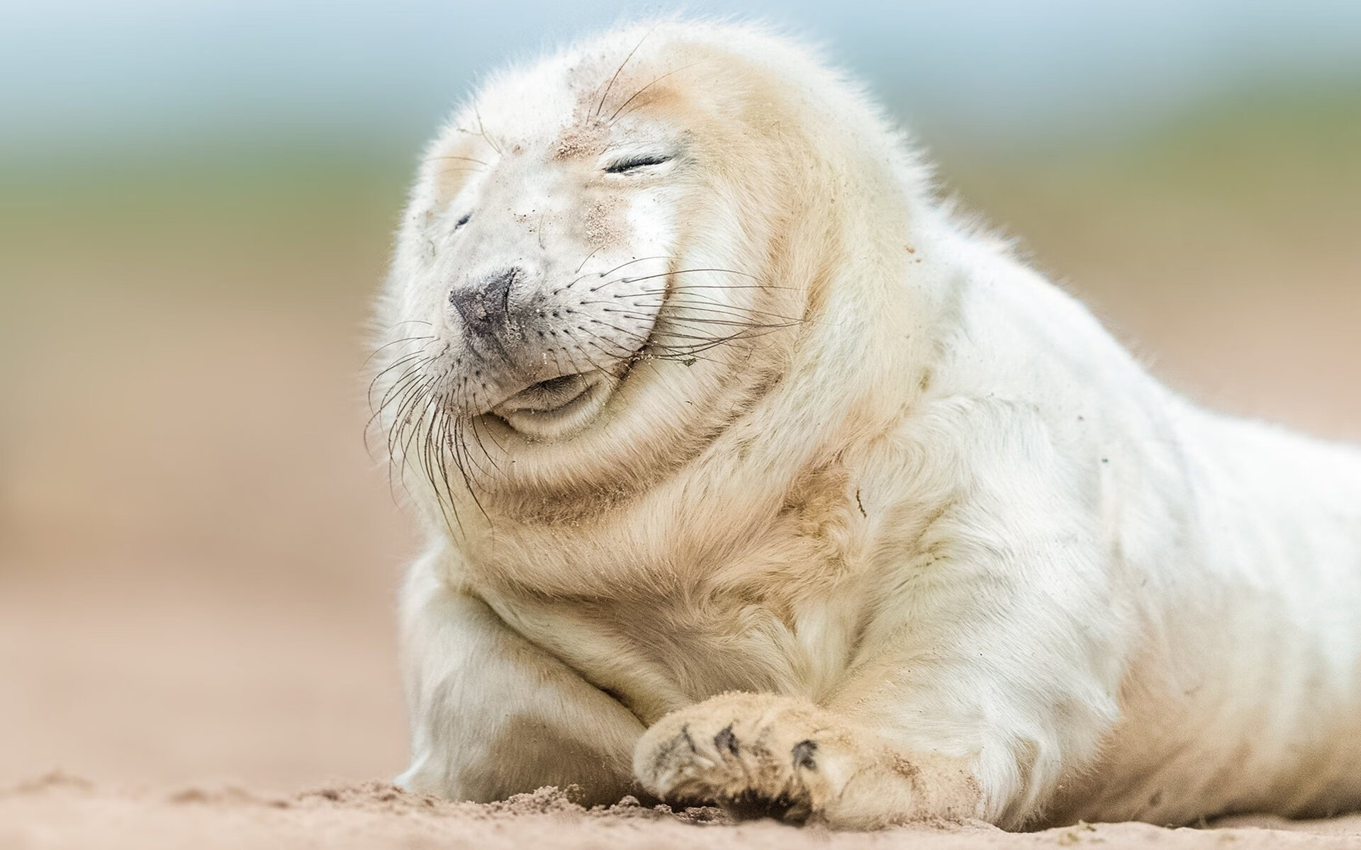 九游娱乐官网 (JIUYOU)-罗马尼亚队赛制解析：团体赛制如何帮助提升全队的作战能力，罗马尼亚足球联赛规则