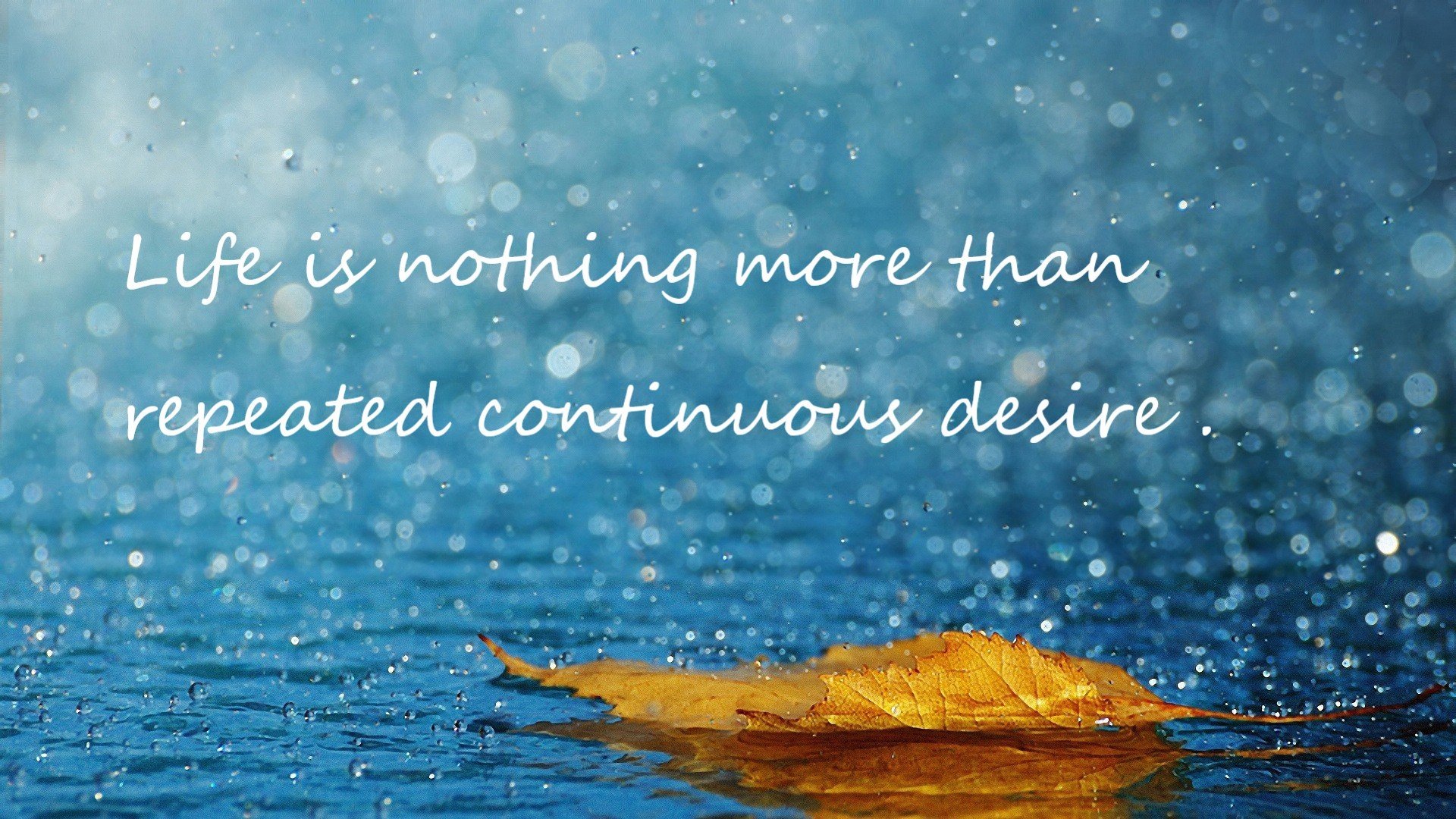 九游下载官网-蛙泳划水长度影响最终成绩？，蛙泳划水要快还是慢