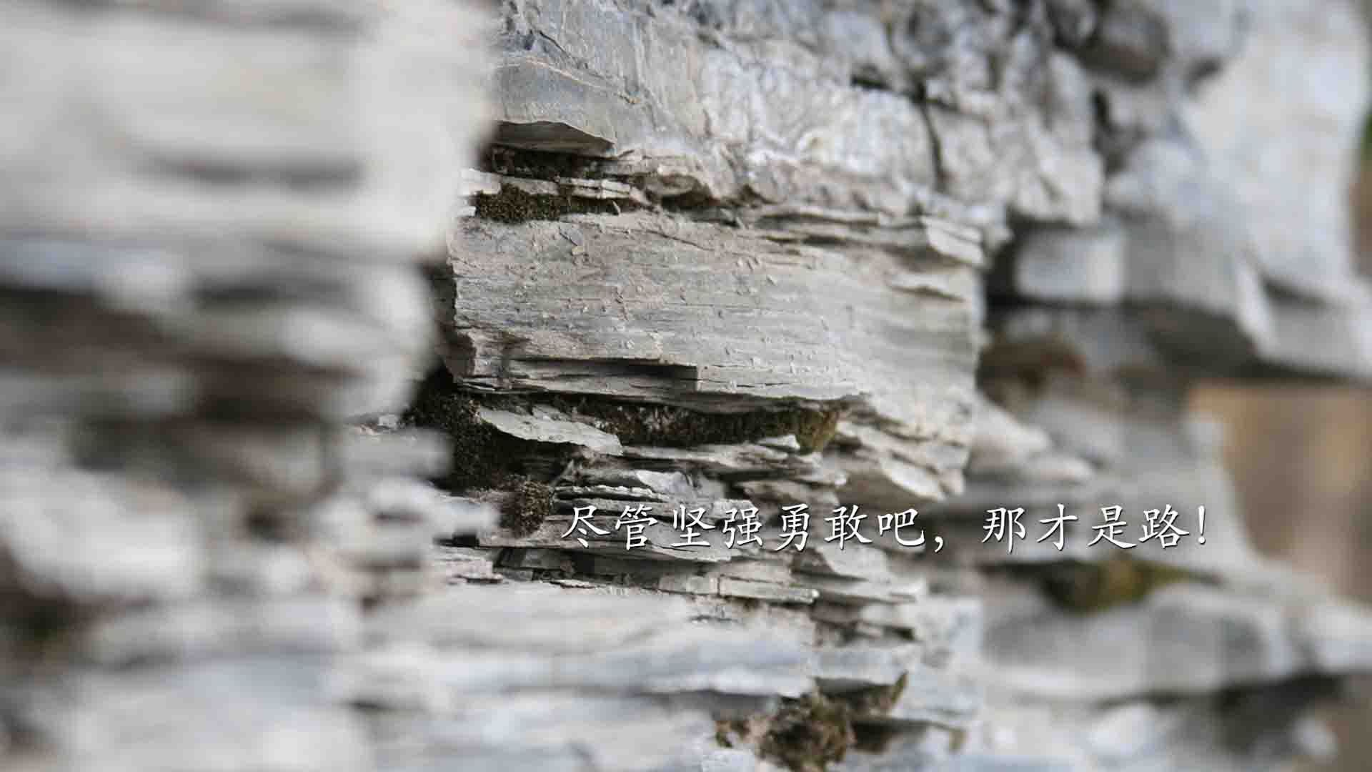 九游娱乐-76人小将首次参与球队全战术演练展现潜力，76人老将