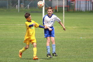 九游网页版入口-比利时男篮在欧洲预赛中奋勇奋战，冲击奥运资格，比利时男篮阵容