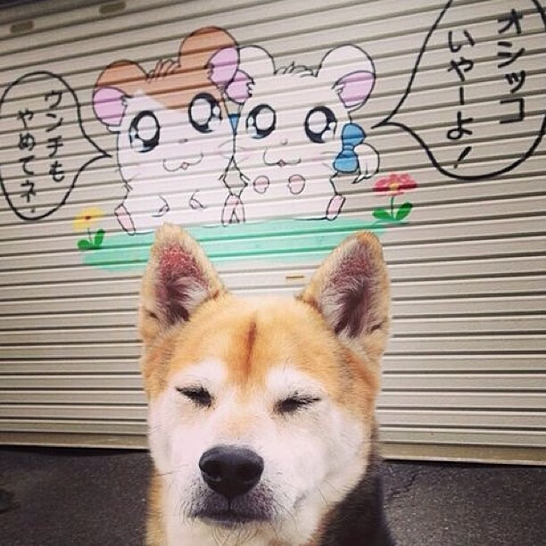 九游游戏中心官网-球迷文化研究报告发布，展望全球化发展趋势，球迷文化什么意思