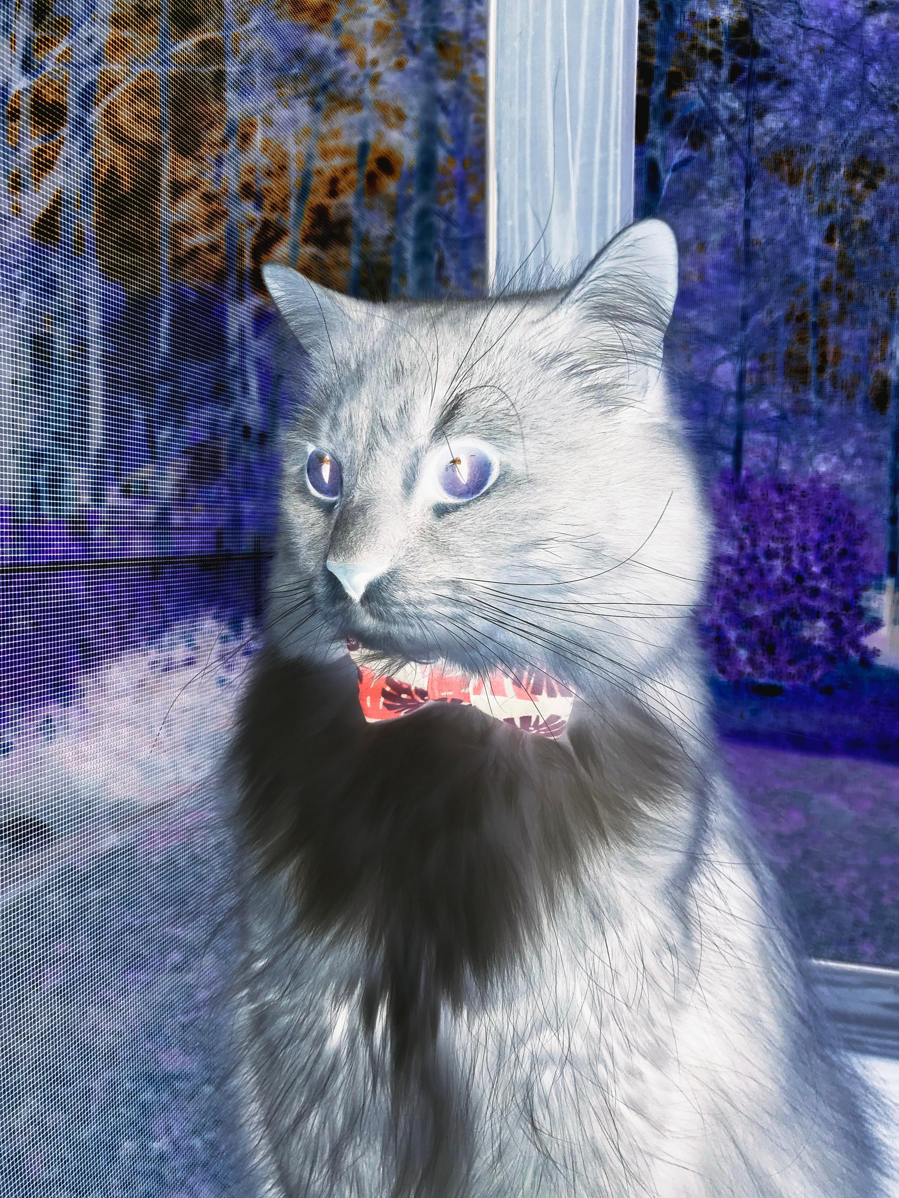 -田径专项人才基地建设纳入重点发展计划，田径专业人员管理系统