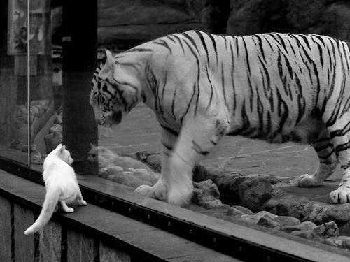 九游娱乐官网 (JIUYOU)-詹姆斯新纪录引全球媒体纷纷报道，詹姆斯最新