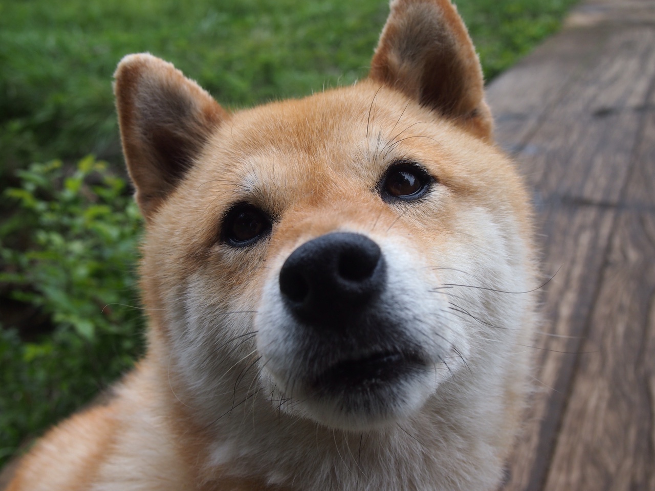 九游9游-跳水半决赛比利时成功晋级，跳水半决赛排名