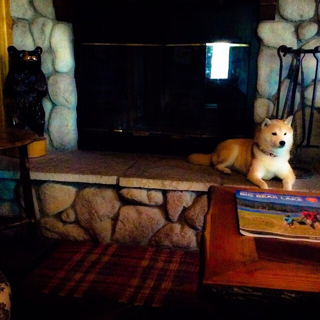 九游娱乐官网 (JIUYOU)-NBA历史十大罚球高手，nba罚球第一人