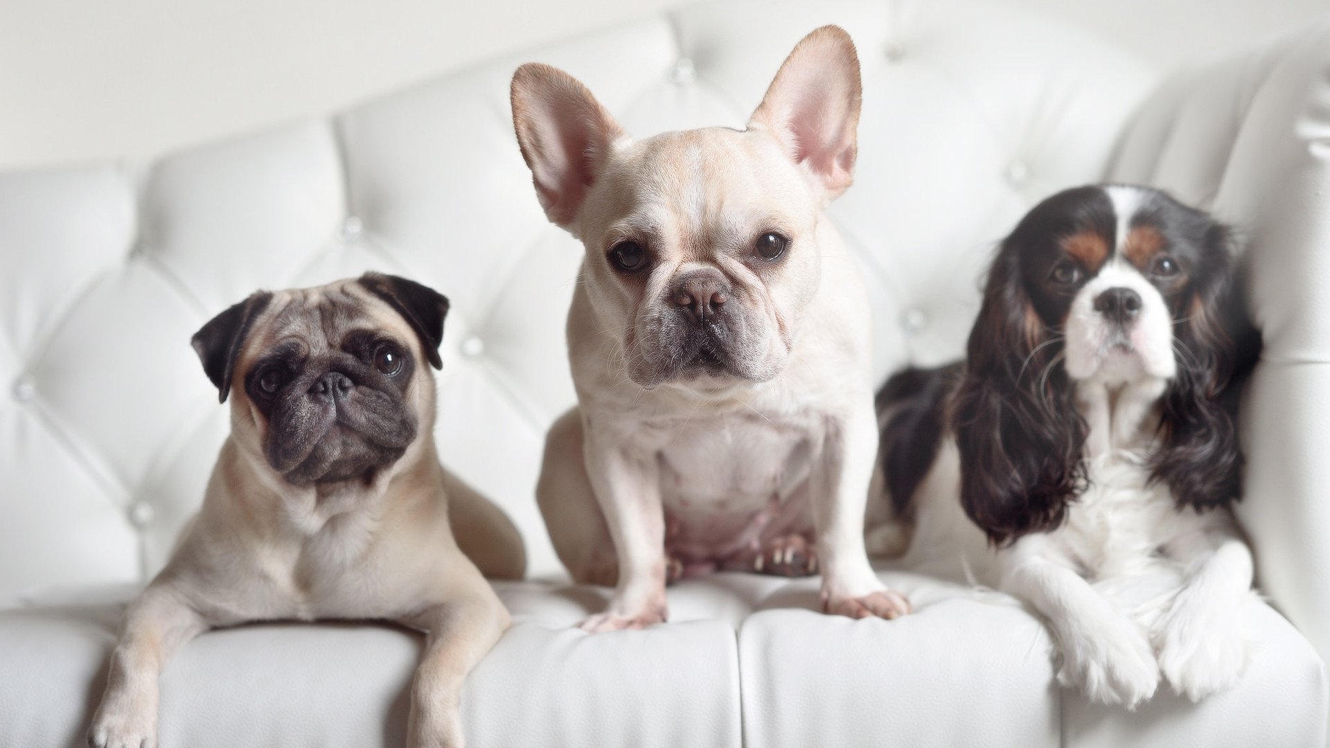 九游app官网下载-中国篮球运动员形象在国际媒体中的呈现方式，中国篮球运动员形象在国际媒体中的呈现方式是什么