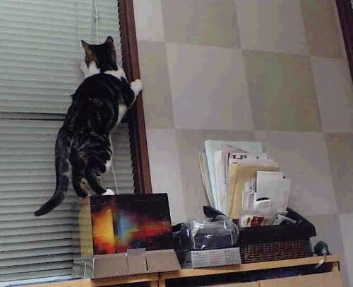 九游网页版官网-五大联赛冠军归属或将在末轮揭晓，五大联赛冠军2021