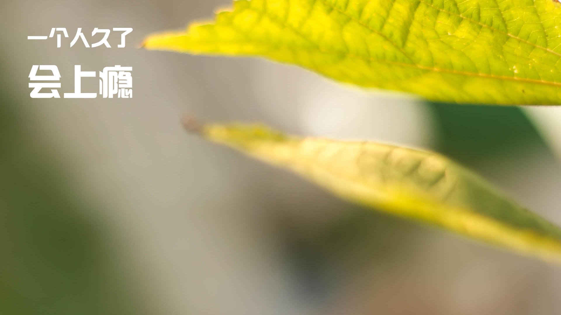 JiuyouAPP下载-全网热议！樊振东首秀太稳了，德杯首战就零封对手，樊振东vs德国