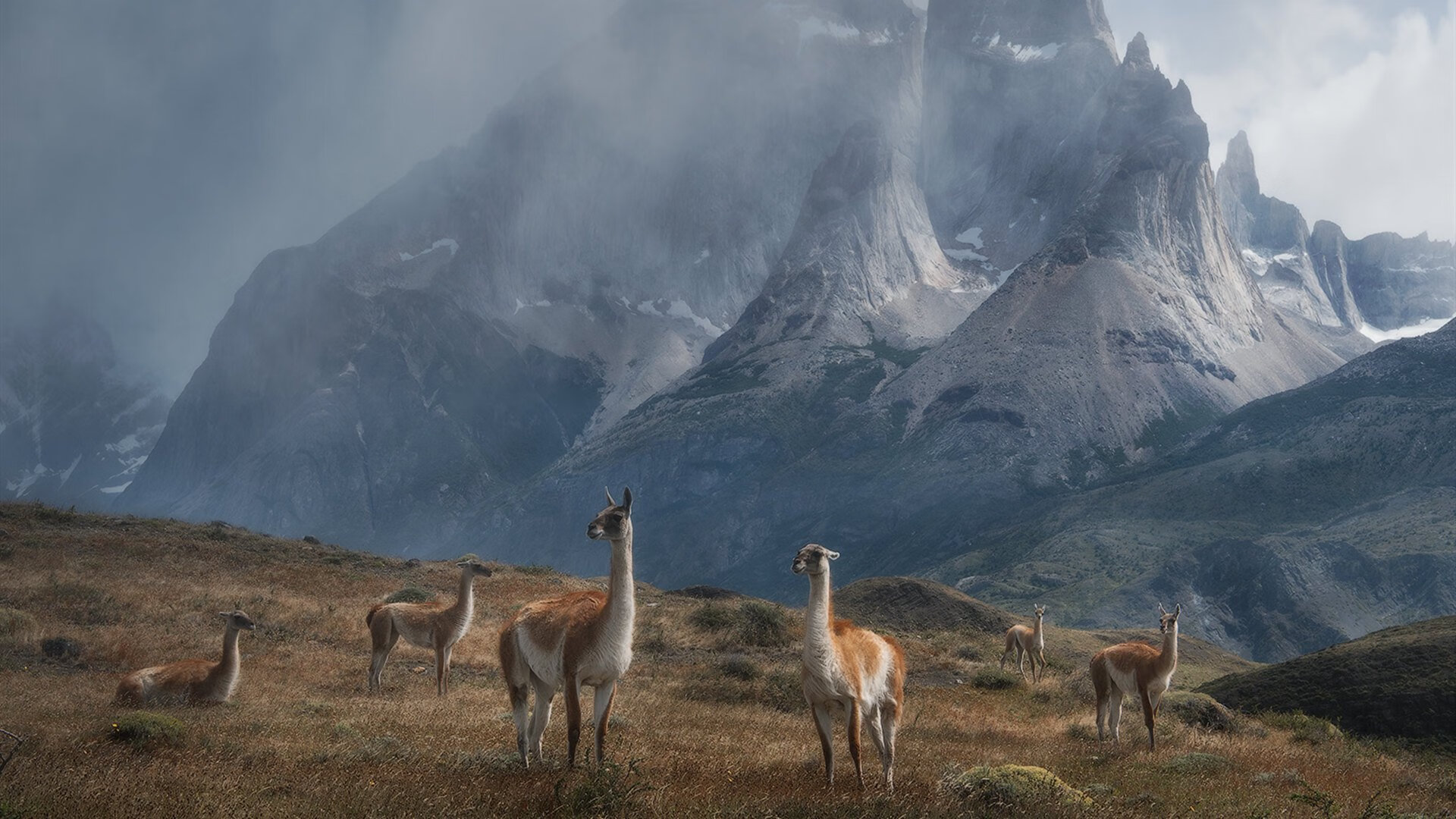 -军训献血获假传言 校方回应：不存在这一规定，开学前献血了可以拿献血证不去军训吗